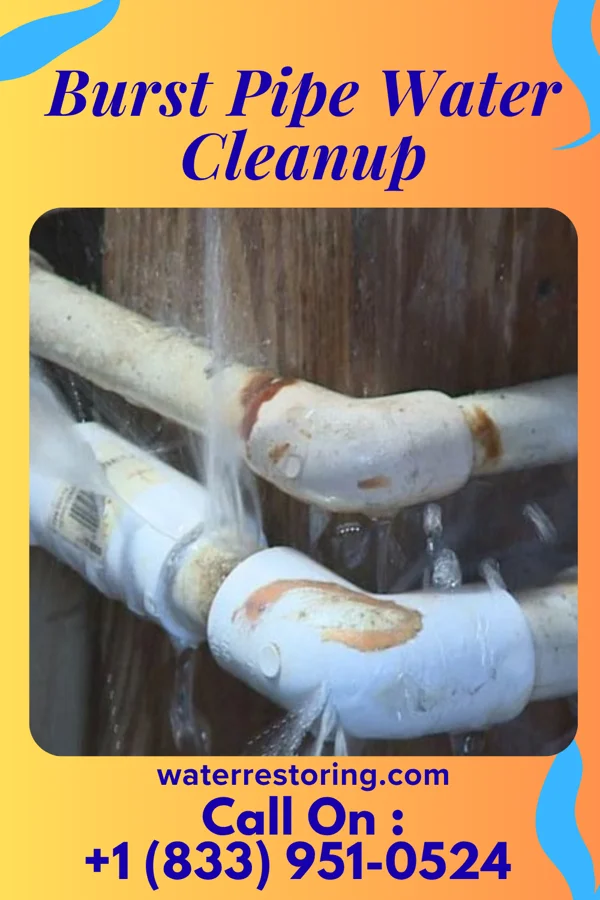 Burst Pipe Water Cleanup in Aldora, GA