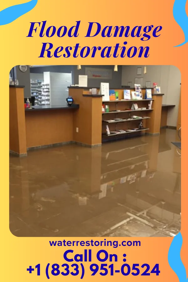 Flood Damage Restoration in Aldora, GA