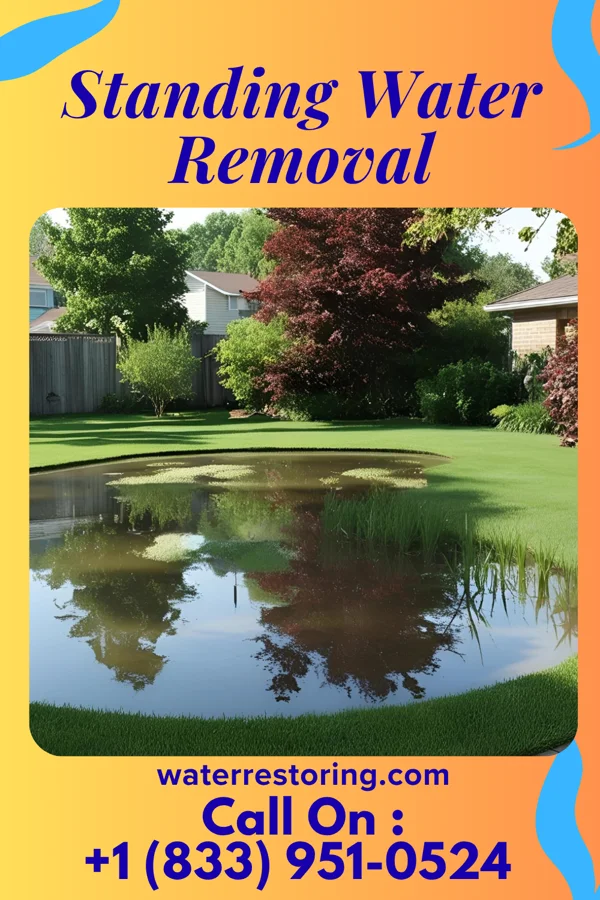 Standing Water Removal in Aldora, GA